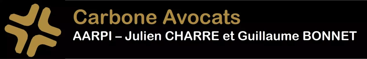 logo noir